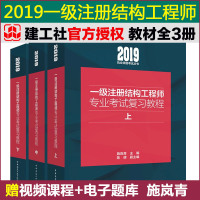 正版 2019年版一级注册结构工程师专业考试教程教材施岚青一级注册结构师考试用书 2019一级注册结构工程师专业