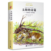 太阳的诗篇 森林报故事精选 亲近母语 经典童书 权威译本 插图 8-9-10-12周岁儿童文学书籍 小学生三四五六年