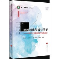 正版 德国司法危机与改革:中德司法改革比较与相互启示 彭海青 吕泽华 [德]彼得·吉勒斯编著 法律出版社