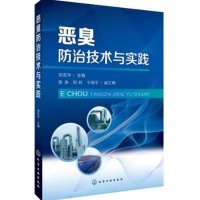 恶臭防治技术与实践 恶臭治理技术方法书籍 恶臭排放治理工程书籍 化工厂恶臭味控制吸附吸收燃烧生物法高级氧化法除臭剂应