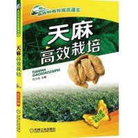 天麻高效栽培 天麻种植技术书籍 天麻病虫害诊断及综合防治技术 天麻种子种苗高产栽培与加工利用 天麻周年管理 中药材种