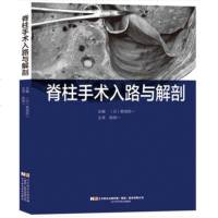 脊柱手术入路与解剖 菊低臣一 神经解剖学知识 颈椎胸椎腰椎 脊柱畸形手术学脊柱外科手术操作指南 脊柱外科手术图谱 骨