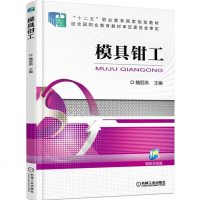 模具钳工 魏丽燕 测量技术划线锯削锉削钻扩铰孔研磨抛光模具装配模具拆卸模具安装调试及模具保养等工艺基础知识书籍