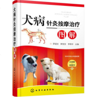 【扫码看视频】犬病针灸按摩治疗图解 犬病针灸按摩治疗书籍 犬病针灸按摩治疗临床技术狗病防治宠物饲养宠物医院医护人员兽