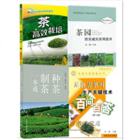 茶叶栽培种植技术书籍 茶树病虫害防治原色生态图谱+茶高效栽培+茶园防灾减灾实用技术+有机无公害茶叶生产关键技术 茶农