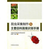 昆虫采集制作及主要目科简易识别手册 徐天森 舒金平 著 昆虫标本制作教程书籍 森林昆虫普查标本采集与制作 昆虫主要目