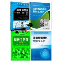 4册 功能陶瓷材料及制备工艺+陶瓷工艺学+先进陶瓷成型及加工技术+陶瓷添加剂 配方性能应用 陶瓷制品助剂生产加工制备