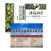 漫话油茶种植管理+油茶树整形修剪实用技术+油茶高效栽培技术模式图 油茶树栽培种植技术大全书籍 病虫害防治预防虫害农业