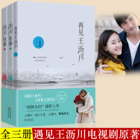 正版 沥川往事+再见王沥川(珍藏版全三册)电视剧原著施定柔都市爱情小说 正版青春文学都市爱情小说