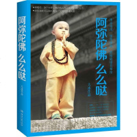 阿弥陀佛么么哒大冰的书 正版书籍 青春文学小说书籍现当代文学书籍 心灵鸡汤暖心故事书乖摸摸头 我不 好吗好的 大冰