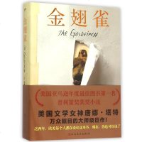AG 正版 金翅雀 普利策奖获奖小说 美国年度100部图书 唐娜塔特大师级巨作 外国现当代文学小说 书