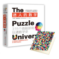 XIN 正版迷人的数学 伊凡莫斯科维奇 315个游戏开发大脑潜能 玩通数学史 大脑游戏天书 数学益智游戏书籍 数学头