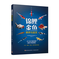 锦鲤金鱼喂养与鉴赏 入养锦鲤金鱼的书 池塘养鱼观赏鱼养殖技术大全书籍 观赏鱼常见疾病防治 金鱼锦鲤书 实用喂养护理