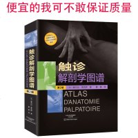 正版《触诊解剖学图谱》第2版二版 精装彩印版彩色插图 供医疗专业人士正骨按摩运动功能疗法参考工具书 医学解刨学内科学