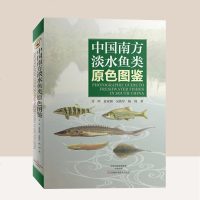 中国南方淡水鱼类原色图鉴 动物大百科海洋生物书籍儿童生物海底世界大百科全书海洋生物图鉴鱼类图鉴6-12岁青少年书籍植