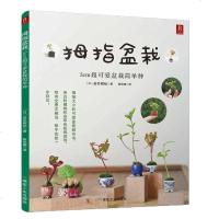 盆景制作与养护 拇指盆栽-3cm可爱盆栽简单种 室内养花 盆景书籍盆栽书籍盆景制作书养护书籍盆景艺术造型书盆景造型设