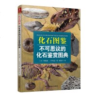 正版新书 200余种化石图鉴:不可思议的化石鉴赏图典 恐龙化石 书 化石书 考古书籍 科普读物 岩石与矿物的彩色图鉴