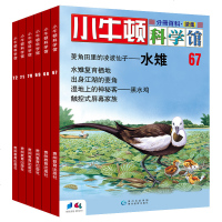 小牛顿科学馆续集(第二辑 套装6册)益智书籍儿童启蒙 专为5-12岁儿童设计 幼儿科普百科全书早教益智启蒙认知书籍