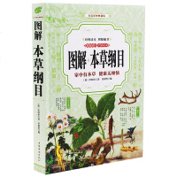 正版 图解本草纲目 白话文彩图典藏版文白对照平装国学经典全注释全解经典精编全彩读本理想藏书