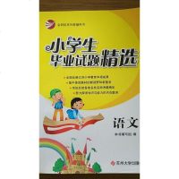 金钥匙 小学生毕业试题精选精选 语文 小学生六年级小升初精选试题训练考试卷/正版 苏州大学出版社