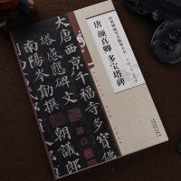 [单本 ]唐颜真卿多宝塔碑 经典碑帖笔法临析大全 从零学书法 一看就懂 一学就会 多宝塔 楷书毛笔字帖 洪亮主编
