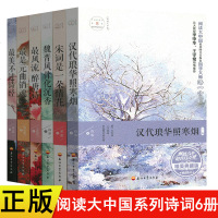 6本阅读大中国唯美典藏版宋词是一朵情花汉代琅华照寒烟醉唐诗是元曲销魂不过诗经魏晋风骨化沉香古诗词鉴赏书