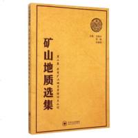 正版书籍 矿山地质选集第2卷:实用矿山地质学理论与工作 汪贻水,彭觥,肖垂斌 大教材教辅 高职高专教材 中南大学出版