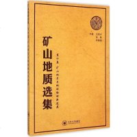 正版书籍 矿山地质选集第4卷:矿山地质与地球物理新进展 汪贻水,彭觥,肖垂斌 主编 著作 冶金工业专业科技 中南大学