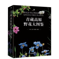XL青藏高原野花大图鉴 牛洋 重庆大学出版社 赏植物和壮美的自然景观 青藏高原野花的识别图鉴 植物花卉识别书籍