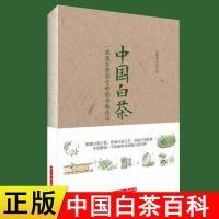正版 中国白茶书籍 一部泡在世界史中的香味传奇 吴锡瑞周滨著 华中科技大学出版社 参透茶道传承白茶 茶趣品茶文化书籍