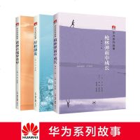 厚积薄发+枪林弹雨中成长+黄沙百战穿金甲 三本套装 企业管理哲学商业史三联出版华为公司管理者培训教材