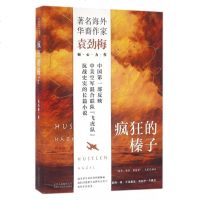 疯狂的榛子