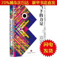[新华书店闪电直发]当下的力量 (德)埃克哈特·托利(Eckhart Tolle) 著;曹植 译 成功学WX正版书籍