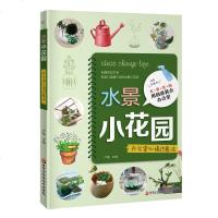 正版 水景小花园 创意装点办公室 小型水景小花园植物微景观办公室装饰观赏 家庭园艺书籍 金版文化