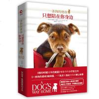 正版 一条狗的使命 只想陪在你身边 布鲁斯卡梅隆 人与动物的温暖相遇 外国现代当代文学长篇情感小说