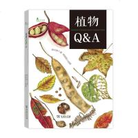 正版 商务印书馆 自然观察丛书:植物Q&A 郑元春著 林丽琪绘