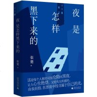 正版 广西本社 夜是怎样黑下来的 张楚著 中国当代小说 广西师范大学出版社