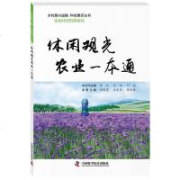 正版 休闲观光农业一本通 田国英编著 休闲农业的基本知识与规划设计实施 休闲农业生态系统与旅游开发 农业经济发展