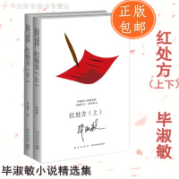 [正版 ]红处方上下全2册毕淑敏小说精选集红处方(上下)昆仑殇美洲小宇宙不宜重逢紫花布幔梦幻小屋和蓝手镯文学小说
