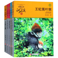 升级版沈石溪动物小说全集作品4册 王妃黑叶猴 牧羊神豹 雄狮去流浪 白象家族/动物小说大王沈石溪.品藏书系 正版书