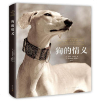 狗的情义 塔姆欣 皮克拉尔 著 不只是爱狗的人 每个爱动物 爱这个世界的人都不能错过的一本书 科普启蒙儿童绘本读物