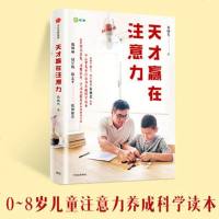 天才赢在注意力 黄扬名 著 0-8岁儿童注意力养成科学读本 习惯培养 学习力提升的系统解决方案 平智力开发习惯培养