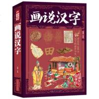 【纸质书籍】全彩阅读馆 话说汉字 中华文化精粹 汉字里的故事笔尖上的中国 中华辞海字典说文解字类 国学经典名著 书籍