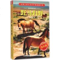【多区域 】野马归野 沈石溪 著 正版儿童文学图书