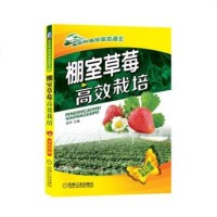 棚室草莓高效栽培+草莓病虫害诊治图册+图说草莓栽培关键技术 有机草莓无土栽培技术书 大棚草莓种植技术大全 草莓种植技