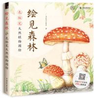 水利社直供.绘见森林色铅笔天然植物图绘(飞乐鸟工作室;;中国水利水电出版社;36.00)