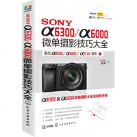 SONY α6300/α6000微单摄影技巧大全 摄影新手掌握索尼a6300/a6000相机常用操作及摄影技巧大全