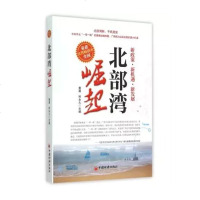北部湾崛起 秦勇 我国如何走经济和平崛起道路 启动西部大开发战略 区域经济学 经济书籍