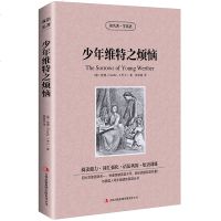 正版 少年维特之烦恼 英文原版+中文版 英汉对照书籍 读名著学英语中英文双语世界名着歌德小说中小学生必读双语读物