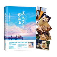 [正版 赠端午妞妞明信片]愿无岁月可回头 DFH 回忆专用小马甲 马建国 微博人气宠物博主 端午妞妞 暖心治愈青